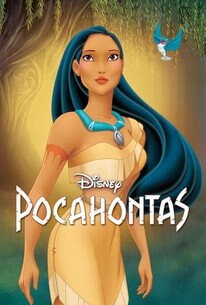 Custom made New Girls Princess Pocahontas costume adult Indian Cosplay costumes for women halloween costumes for women