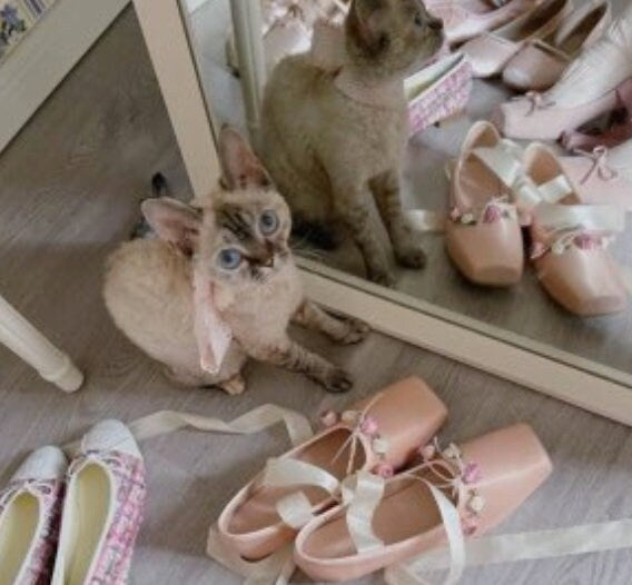 Chunky Heels Lolita balletcore,cottagecore Pumps Shoes Spring Summer French Style Elegance Women Pumps Lace Up Ballet Style Shoes