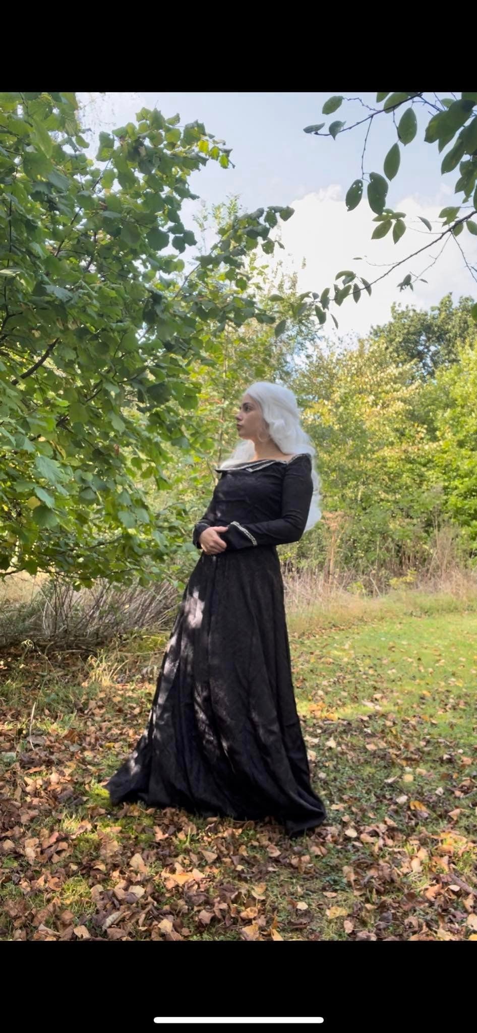 Custom made House medieval Dress Dragon Cosplay Costume Outfits Halloween Carnival Suit Role Play New Women's Dress Clothing