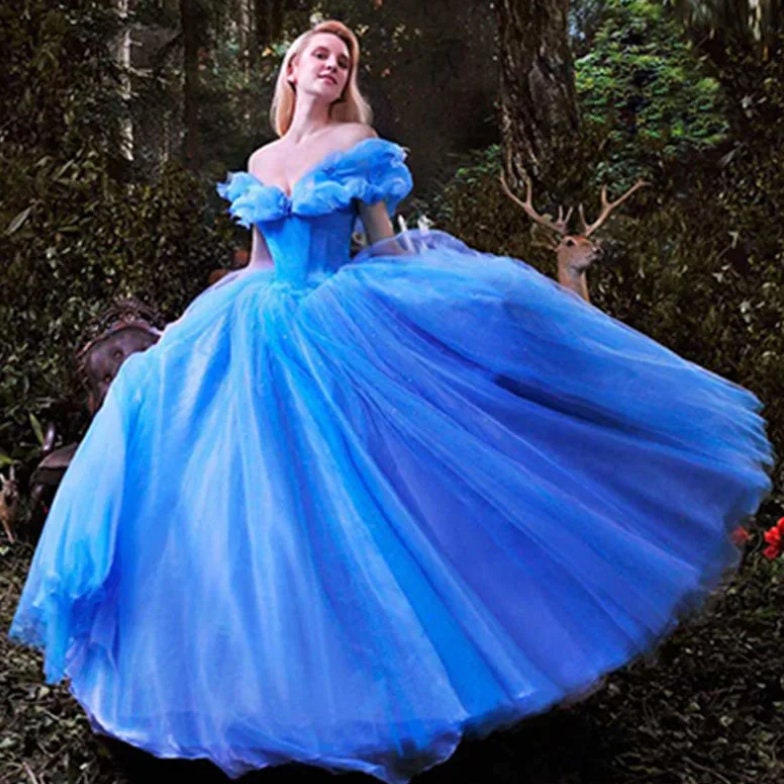Custom made Disney Princess Movie Cinderella Cosplay Costumes Adult Women Female Cosplay Blue /Brown Dress Halloween Carnival Clothing