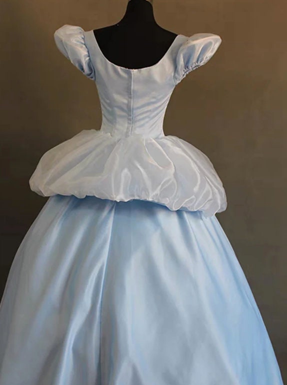 Custom made Disney Princess Movie Cinderella Cosplay Costumes Adult Women Female Cosplay Blue /Brown Dress Halloween Carnival Clothing
