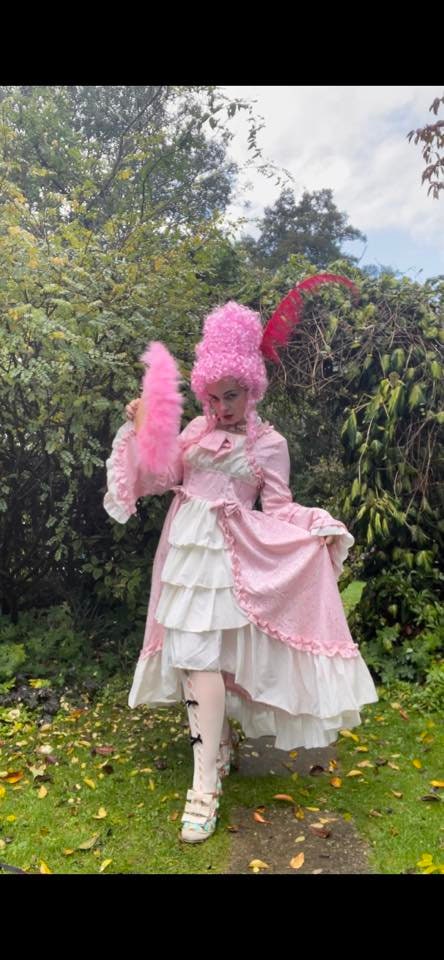 Marie Antoinette inspired movie rococo 18th century Style elegant maxi layer dress,corset lace, bows ,robe a la francaise reenactment party